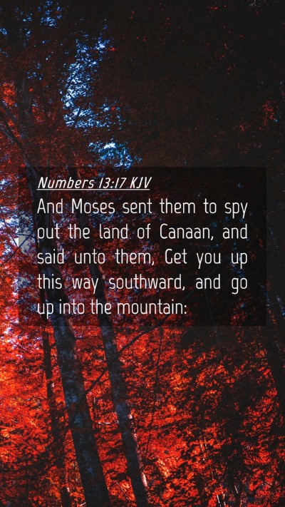 Picture 04 - Numbers 13:17 KJV Mobile Phone Wallpaper - And Moses sent them to spy out the land of - Mobile Bible Verse Wallpaper