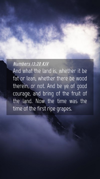 Picture 04 - Numbers 13:20 KJV Mobile Phone Wallpaper - And what the land is, whether it be fat or lean, - Mobile Bible Verse Wallpaper