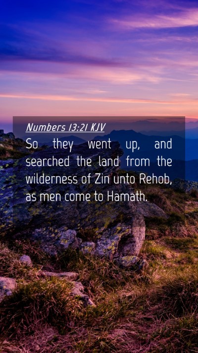 Picture 04 - Numbers 13:21 KJV Mobile Phone Wallpaper - So they went up, and searched the land from the - Mobile Bible Verse Wallpaper