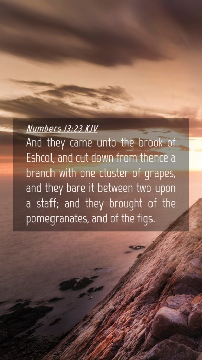 Picture 04 - Numbers 13:23 KJV Mobile Phone Wallpaper - And they came unto the brook of Eshcol, and cut - Mobile Bible Verse Wallpaper