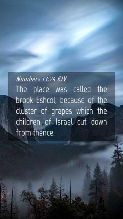 Picture 04 - Numbers 13:24 KJV Mobile Phone Wallpaper - The place was called the brook Eshcol, because of - Mobile Bible Verse Wallpaper