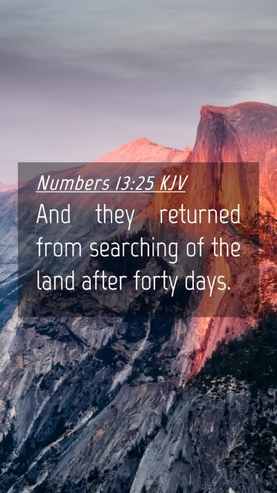 Picture 04 - Numbers 13:25 KJV Mobile Phone Wallpaper - And they returned from searching of the land - Mobile Bible Verse Wallpaper
