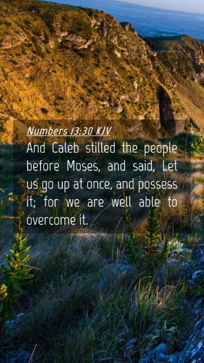 Picture 04 - Numbers 13:30 KJV Mobile Phone Wallpaper - And Caleb stilled the people before Moses, and - Mobile Bible Verse Wallpaper
