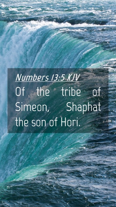 Picture 04 - Numbers 13:5 KJV Mobile Phone Wallpaper - Of the tribe of Simeon, Shaphat the son of - Mobile Bible Verse Wallpaper