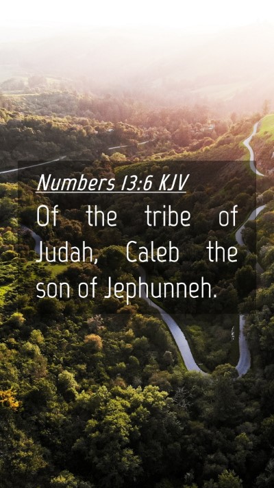 Picture 04 - Numbers 13:6 KJV Mobile Phone Wallpaper - Of the tribe of Judah, Caleb the son of - Mobile Bible Verse Wallpaper