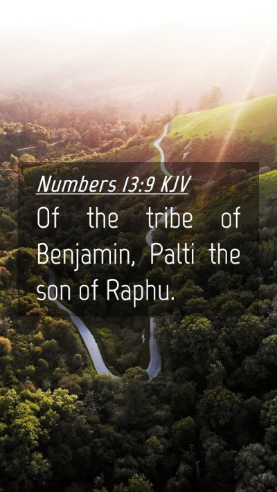 Picture 04 - Numbers 13:9 KJV Mobile Phone Wallpaper - Of the tribe of Benjamin, Palti the son of - Mobile Bible Verse Wallpaper