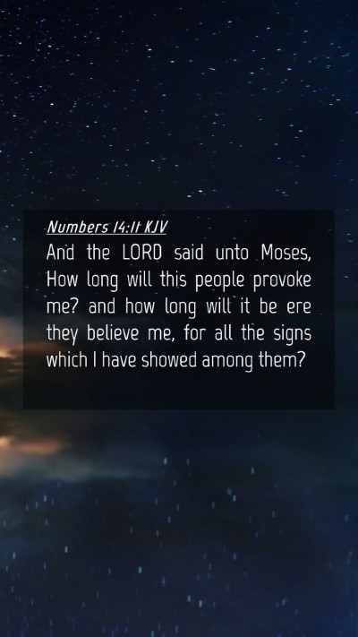 Picture 04 - Numbers 14:11 KJV Mobile Phone Wallpaper - And the LORD said unto Moses, How long will this - Mobile Bible Verse Wallpaper