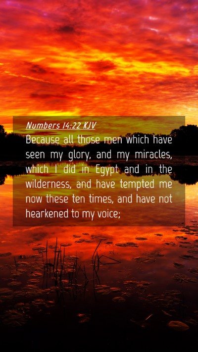 Picture 04 - Numbers 14:22 KJV Mobile Phone Wallpaper - Because all those men which have seen my glory, - Mobile Bible Verse Wallpaper