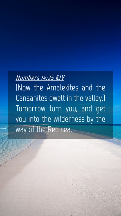 Picture 04 - Numbers 14:25 KJV Mobile Phone Wallpaper - (Now the Amalekites and the Canaanites dwelt in - Mobile Bible Verse Wallpaper