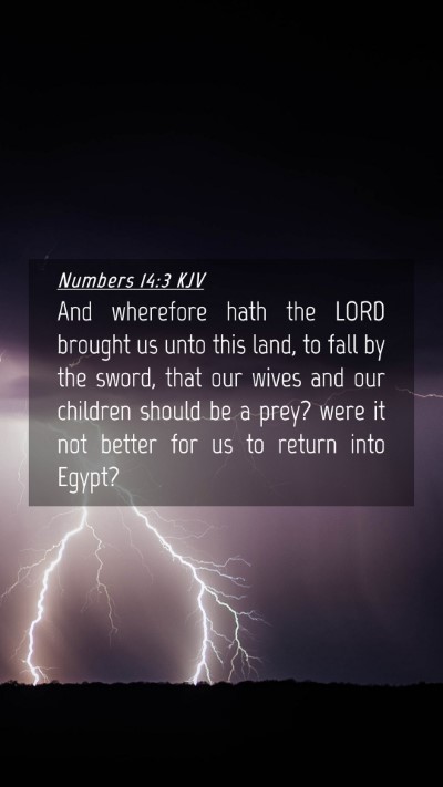 Picture 04 - Numbers 14:3 KJV Mobile Phone Wallpaper - And wherefore hath the LORD brought us unto this - Mobile Bible Verse Wallpaper