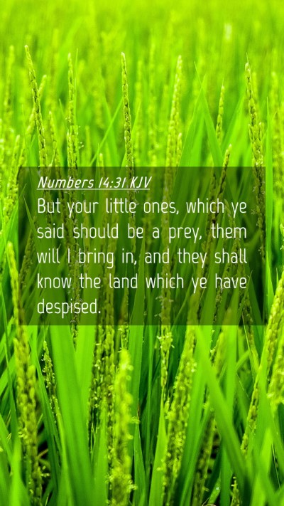 Picture 04 - Numbers 14:31 KJV Mobile Phone Wallpaper - But your little ones, which ye said should be a - Mobile Bible Verse Wallpaper
