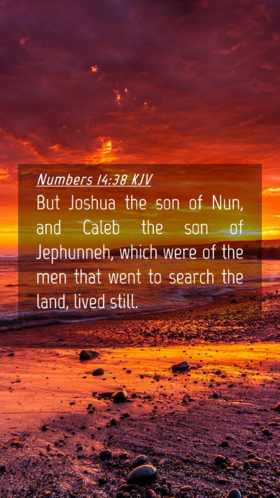 Picture 04 - Numbers 14:38 KJV Mobile Phone Wallpaper - But Joshua the son of Nun, and Caleb the son of - Mobile Bible Verse Wallpaper