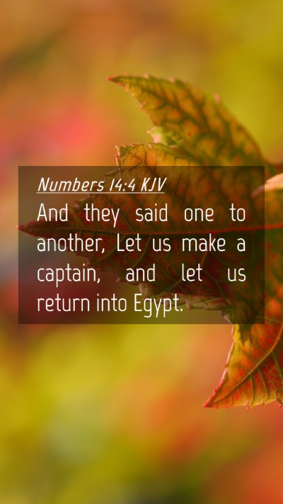 Picture 04 - Numbers 14:4 KJV Mobile Phone Wallpaper - And they said one to another, Let us make a - Mobile Bible Verse Wallpaper