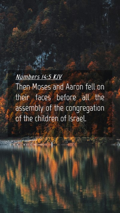 Picture 04 - Numbers 14:5 KJV Mobile Phone Wallpaper - Then Moses and Aaron fell on their faces before - Mobile Bible Verse Wallpaper