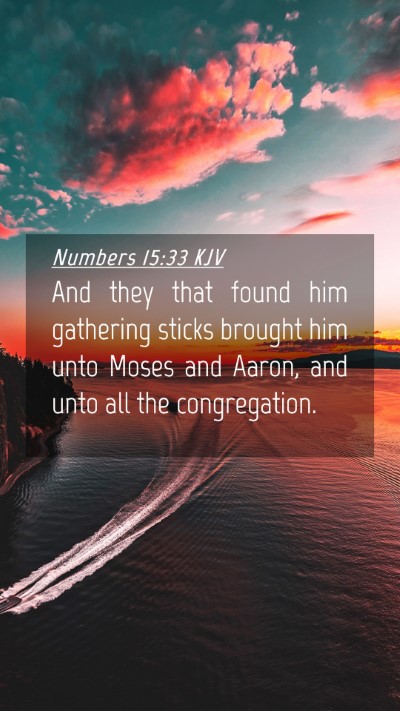 Picture 04 - Numbers 15:33 KJV Mobile Phone Wallpaper - And they that found him gathering sticks brought - Mobile Bible Verse Wallpaper