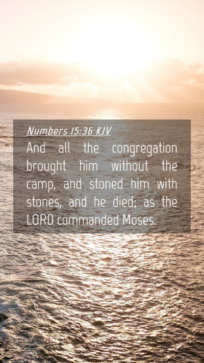 Picture 04 - Numbers 15:36 KJV Mobile Phone Wallpaper - And all the congregation brought him without the - Mobile Bible Verse Wallpaper
