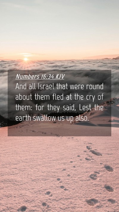 Picture 04 - Numbers 16:34 KJV Mobile Phone Wallpaper - And all Israel that were round about them fled at - Mobile Bible Verse Wallpaper
