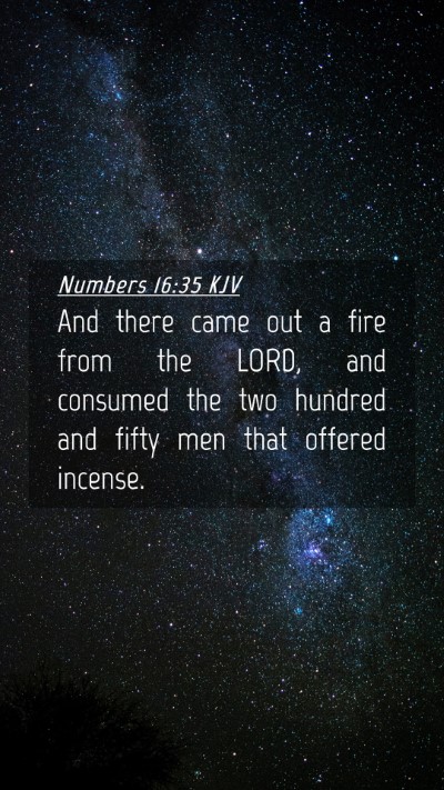Picture 04 - Numbers 16:35 KJV Mobile Phone Wallpaper - And there came out a fire from the LORD, and - Mobile Bible Verse Wallpaper