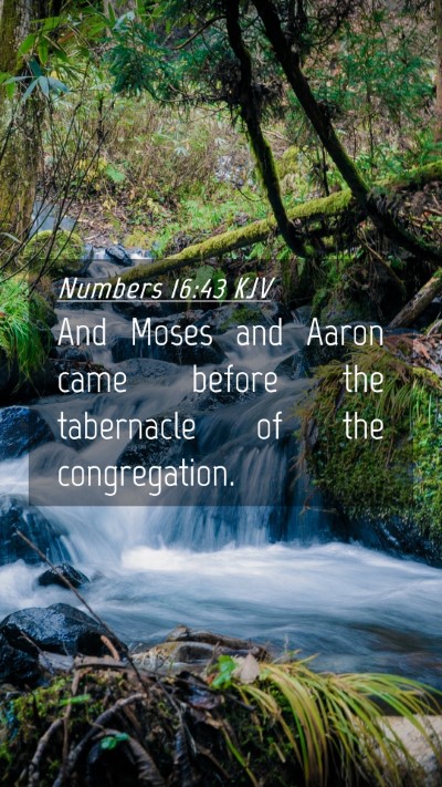 Picture 04 - Numbers 16:43 KJV Mobile Phone Wallpaper - And Moses and Aaron came before the tabernacle of - Mobile Bible Verse Wallpaper
