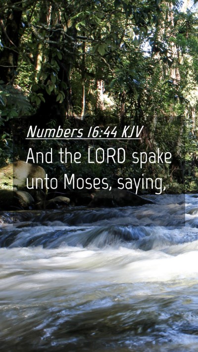 Picture 04 - Numbers 16:44 KJV Mobile Phone Wallpaper - And the LORD spake unto Moses, - Mobile Bible Verse Wallpaper
