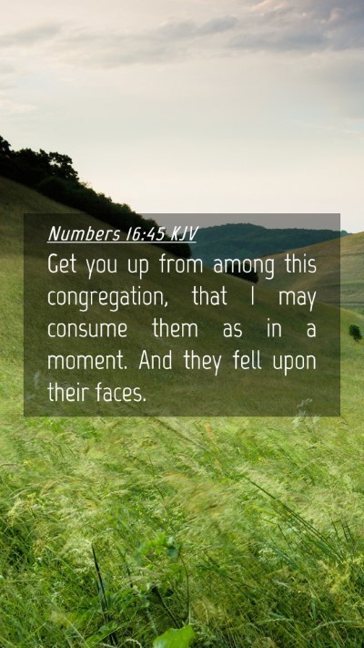 Picture 04 - Numbers 16:45 KJV Mobile Phone Wallpaper - Get you up from among this congregation, that I - Mobile Bible Verse Wallpaper