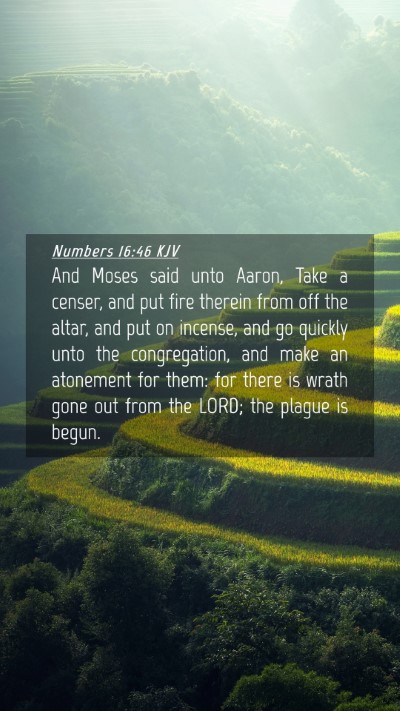 Picture 04 - Numbers 16:46 KJV Mobile Phone Wallpaper - And Moses said unto Aaron, Take a censer, and put - Mobile Bible Verse Wallpaper