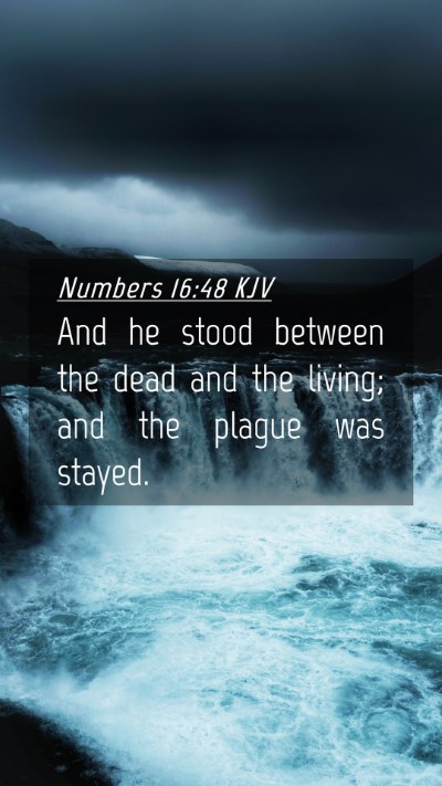 Picture 04 - Numbers 16:48 KJV Mobile Phone Wallpaper - And he stood between the dead and the living; and - Mobile Bible Verse Wallpaper