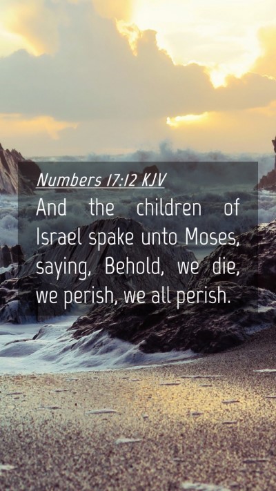 Picture 04 - Numbers 17:12 KJV Mobile Phone Wallpaper - And the children of Israel spake unto Moses, - Mobile Bible Verse Wallpaper
