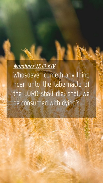 Picture 04 - Numbers 17:13 KJV Mobile Phone Wallpaper - Whosoever cometh any thing near unto the - Mobile Bible Verse Wallpaper