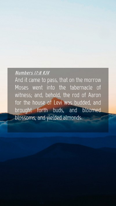 Picture 04 - Numbers 17:8 KJV Mobile Phone Wallpaper - And it came to pass, that on the morrow Moses - Mobile Bible Verse Wallpaper