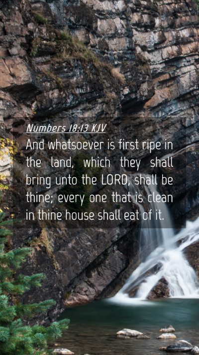 Picture 04 - Numbers 18:13 KJV Mobile Phone Wallpaper - And whatsoever is first ripe in the land, which - Mobile Bible Verse Wallpaper