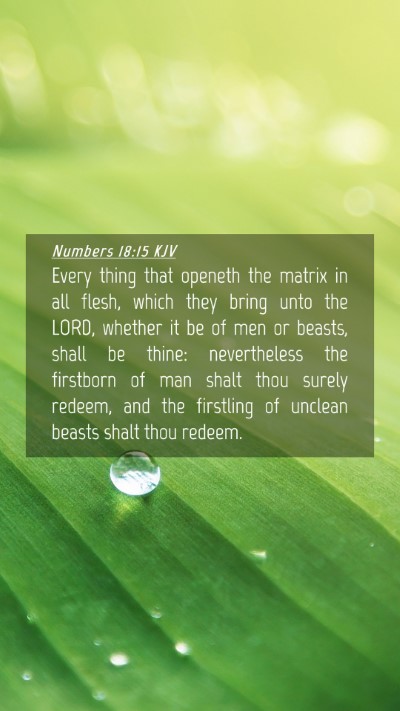 Picture 04 - Numbers 18:15 KJV Mobile Phone Wallpaper - Every thing that openeth the matrix in all flesh, - Mobile Bible Verse Wallpaper