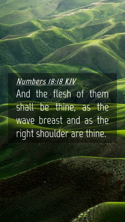 Picture 04 - Numbers 18:18 KJV Mobile Phone Wallpaper - And the flesh of them shall be thine, as the wave - Mobile Bible Verse Wallpaper
