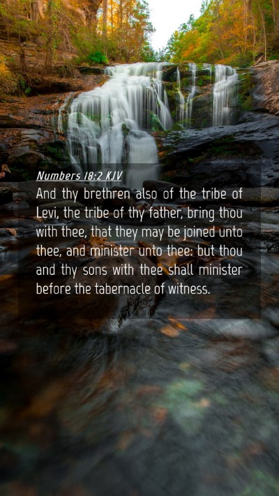 Picture 04 - Numbers 18:2 KJV Mobile Phone Wallpaper - And thy brethren also of the tribe of Levi, the - Mobile Bible Verse Wallpaper