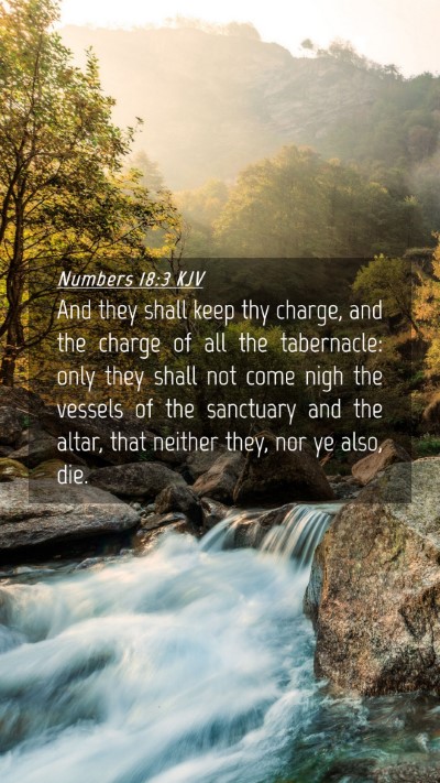 Picture 04 - Numbers 18:3 KJV Mobile Phone Wallpaper - And they shall keep thy charge, and the charge of - Mobile Bible Verse Wallpaper