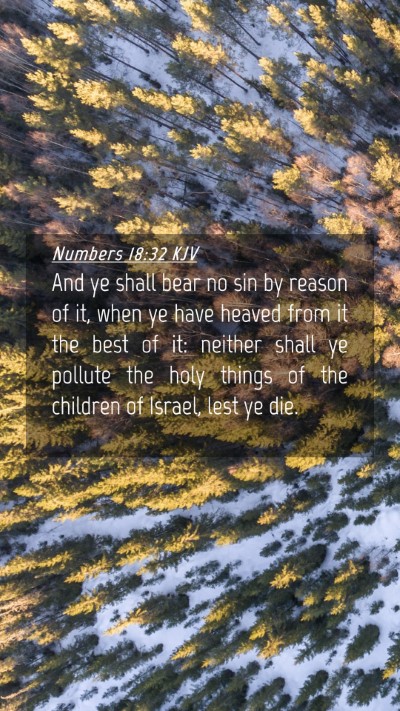 Picture 04 - Numbers 18:32 KJV Mobile Phone Wallpaper - And ye shall bear no sin by reason of it, when ye - Mobile Bible Verse Wallpaper