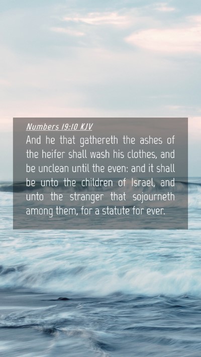 Picture 04 - Numbers 19:10 KJV Mobile Phone Wallpaper - And he that gathereth the ashes of the heifer - Mobile Bible Verse Wallpaper
