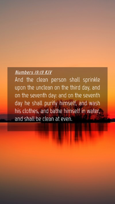 Picture 04 - Numbers 19:19 KJV Mobile Phone Wallpaper - And the clean person shall sprinkle upon the - Mobile Bible Verse Wallpaper