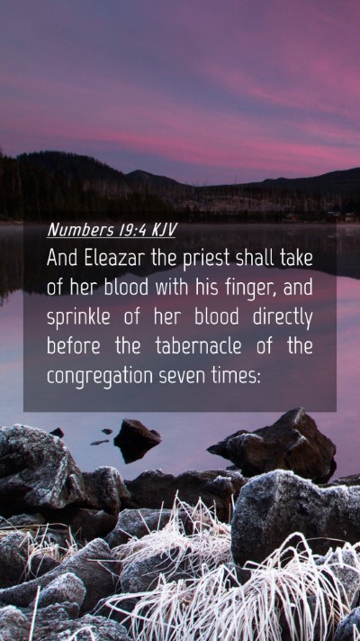 Picture 04 - Numbers 19:4 KJV Mobile Phone Wallpaper - And Eleazar the priest shall take of her blood - Mobile Bible Verse Wallpaper