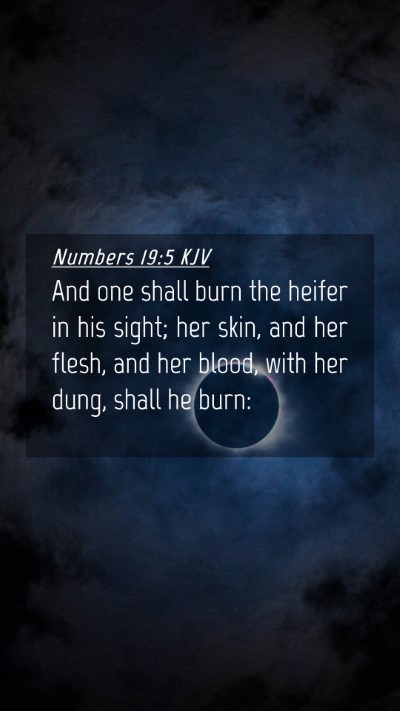 Picture 04 - Numbers 19:5 KJV Mobile Phone Wallpaper - And one shall burn the heifer in his sight; her - Mobile Bible Verse Wallpaper