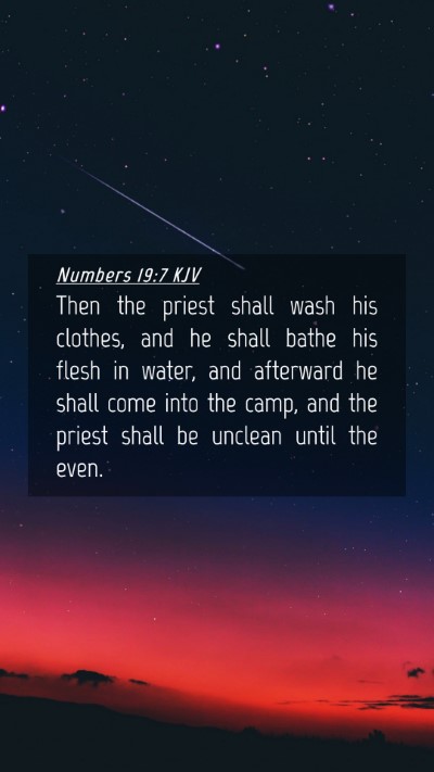 Picture 04 - Numbers 19:7 KJV Mobile Phone Wallpaper - Then the priest shall wash his clothes, and he - Mobile Bible Verse Wallpaper