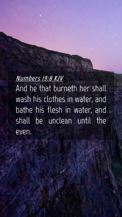 Picture 04 - Numbers 19:8 KJV Mobile Phone Wallpaper - And he that burneth her shall wash his clothes in - Mobile Bible Verse Wallpaper