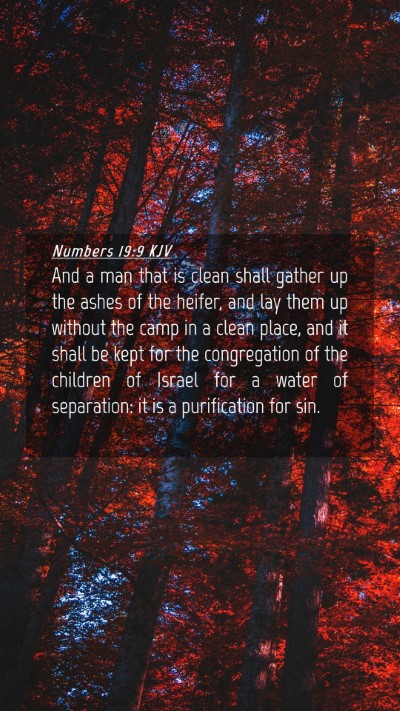 Picture 04 - Numbers 19:9 KJV Mobile Phone Wallpaper - And a man that is clean shall gather up the ashes - Mobile Bible Verse Wallpaper