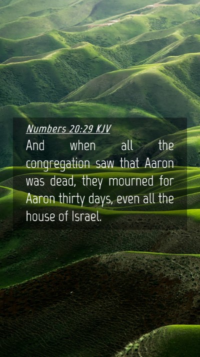 Picture 04 - Numbers 20:29 KJV Mobile Phone Wallpaper - And when all the congregation saw that Aaron was - Mobile Bible Verse Wallpaper