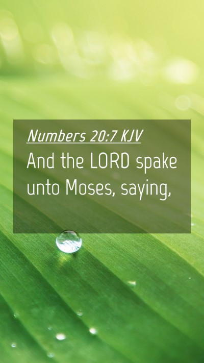 Picture 04 - Numbers 20:7 KJV Mobile Phone Wallpaper - And the LORD spake unto Moses, - Mobile Bible Verse Wallpaper
