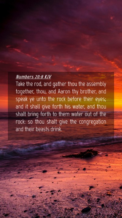 Picture 04 - Numbers 20:8 KJV Mobile Phone Wallpaper - Take the rod, and gather thou the assembly - Mobile Bible Verse Wallpaper