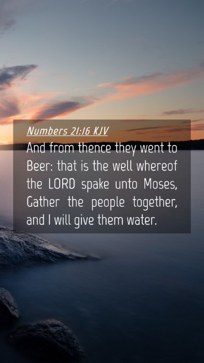 Picture 04 - Numbers 21:16 KJV Mobile Phone Wallpaper - And from thence they went to Beer: that is the - Mobile Bible Verse Wallpaper