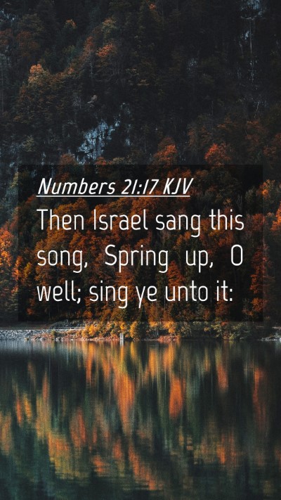 Picture 04 - Numbers 21:17 KJV Mobile Phone Wallpaper - Then Israel sang this song, Spring up, O well; - Mobile Bible Verse Wallpaper