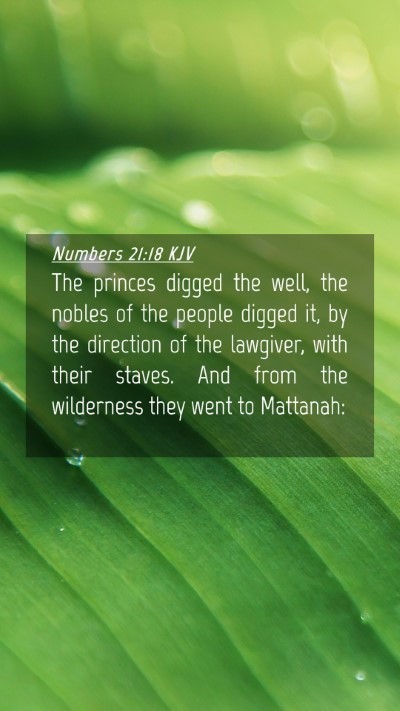 Picture 04 - Numbers 21:18 KJV Mobile Phone Wallpaper - The princes digged the well, the nobles of the - Mobile Bible Verse Wallpaper
