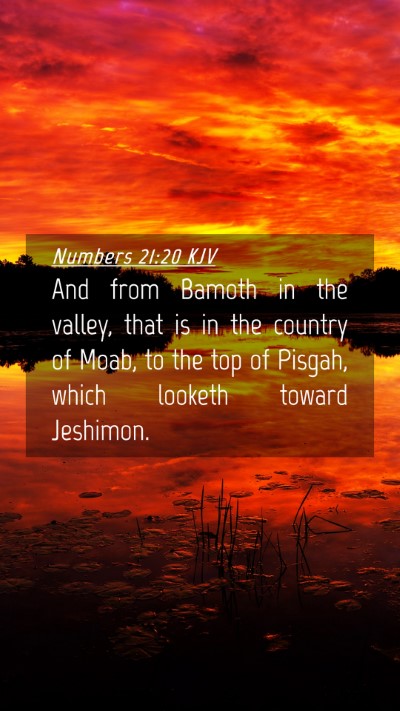 Picture 04 - Numbers 21:20 KJV Mobile Phone Wallpaper - And from Bamoth in the valley, that is in the - Mobile Bible Verse Wallpaper
